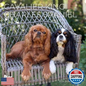 Wandkalender Juli 2025 - Dezember 2026 Cavalier King Charles Spaniel 18 Monate - Bild 1 von 5