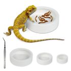 Ceramic Reptile Food and Water Bowl Set of 3,Worm Dish for Lizard Anoles Bearded