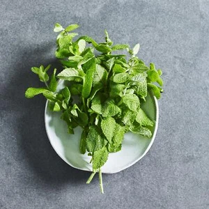 Lemon Balm Seeds - Grow Your Own Herbs Australia - Picture 1 of 1