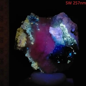 Phlogopite Diopside Gonnardite Lazurite fluorescent minerals Afghanistan 888ct - Picture 1 of 13