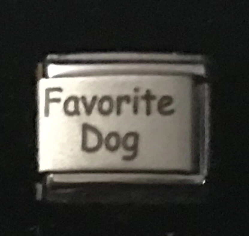 最爱的狗激光意大利 CHARM Link 9 毫米 K2023 J1 — 第 1/1 张图片