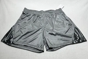 Nike iSoFly Women XXL Dri Fit Basketball Shorts Gray MSRP $35 DH7363-078 NWT 2XL - Picture 1 of 12