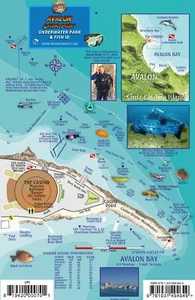 Avalon Unterwasserpark Santa Catalina wasserdichte Karte & Fischkarte von Franko Maps - Bild 1 von 2