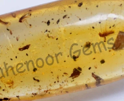 83.50 Ct 100% Natural Yellow Amber Insect Inclusion Certified Loose Gemstone - Image 1 of 4