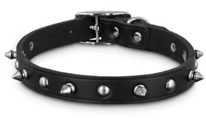 Petco Leather with Spike Rivets Dog Collar, Adjustable, S 12-15 in , Black