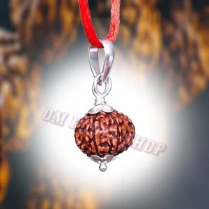 6 colgantes de plata Mukhi (Nepal original) Rudraksha 17-19 mm certificados de laboratorio - Imagen 1 de 6