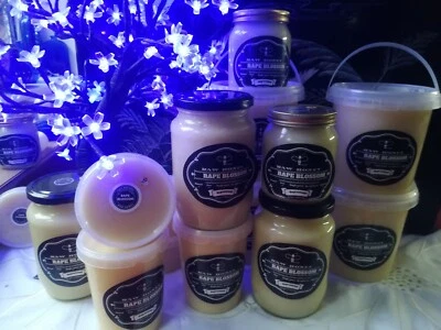 CERTIFIED Pure Natural Raw Rapeseed / Rape Honey 0.45 1 1.5 KG   Harvested 2024 - Image 1 of 4