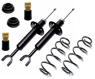 2 Premium Stoßdämpfer Öl Domlager Federn vorne Serie für VW Passat Typ 3B ≥ 1.8 - Bild 1 von 4