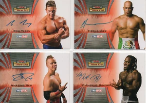 Wrestling WWF TNA WCW WWE ECW - Autogramm & Kostüm Relikt Kartenauswahl Neuwertig   - Bild 1 von 15