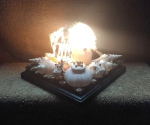 8"W Handmade Seashell Electric Light/Lamp #3 Beach/Coastal Decor - Picture 1 of 7