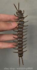 6" Old Chinese Purple Copper insect Centipede Statue Sculpture