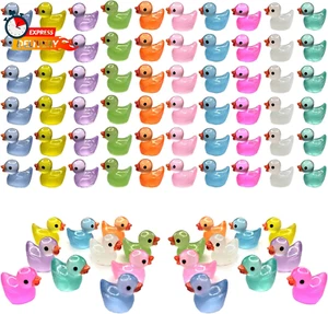 60 Pcs Mini Resin Ducks Luminous Tiny Ducks Miniature Duck Glow in the Dark for - Picture 1 of 12