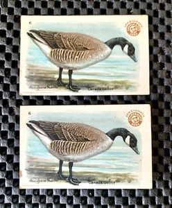 ARM & HAMMER GAME BIRD SERIES # 4 DUE CARTE CANADA GOOSE # 6 - Foto 1 di 3