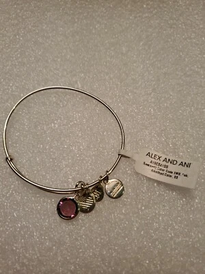 Alex and Ani Swarovski Color Code Bangle Bracelet February Amethyst NWT - Image 1 of 3