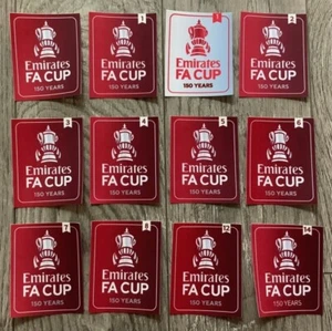 THE Emirates FA CUP FINAL 2020/21  WINNERS 150 years badge Patch - Picture 1 of 14