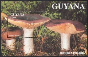 Guyana 1991 Fungi/Mushrooms/Plants/Nature 1v m/s (b2465) - Picture 1 of 1