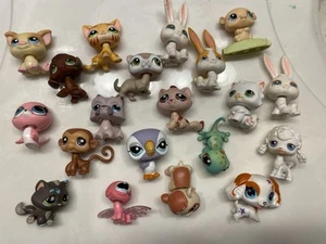 Littlest Pet Shop *Sie wählen* Hunde, Katzen, Hasen, Affen - Bild 1 von 16