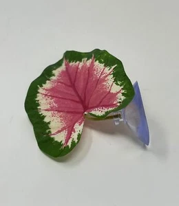 Tiny 3" Soft Betta Hammock!! 1-leaf Pink & Green Caladium Silk Betta safe Plant, - Picture 1 of 8