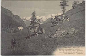 GRESSONEY - MIRAVALLE - GRESSONEY ST.JEAN (AOSTA) - Picture 1 of 1