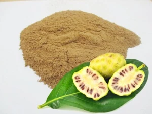 Noni Fruit Powder Morinda Citrifolia Herbs - Picture 1 of 4