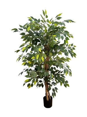 Wildwood & Cypress 60” Realistic Ficus Tree Wood Trunk Indoor Faux Decorative - Image 1 of 4