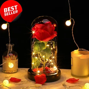 Eternal Real Rose with LED Light in Glass Dome Gift for Her Mother'S Day - Picture 1 of 12