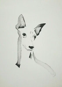 Original signed Ink sketch painting of a Whippet Greyhound Lurcher - Picture 1 of 3