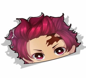Pegatinas de vinilo de anime Tanjiro | Demon | Peeker - Peek - Imagen 1 de 1