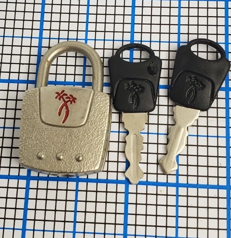 Lucky Lock Unique Design with 2 Keys Cover