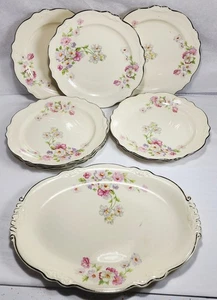 Homer Laughlin Virginia Rose Platte & 8 Teller Silberrand - B53N8 A53N8 - Bild 1 von 8