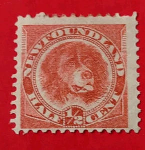 Newfoundland 1894 Sc#56 RedDog,1/2cent Mint HOG(0204--3) - Picture 1 of 2