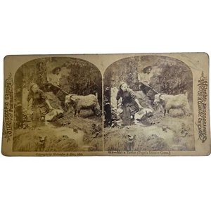 Antique Stereoscope Stereoscopic Card Melander & Bro. Chicago #112 Goat Tartar - Picture 1 of 3