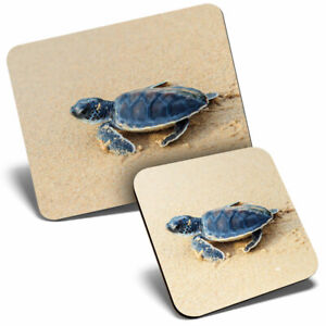 Mouse Mat & Coaster Set - Small Baby Green Sea Turtle  #3329