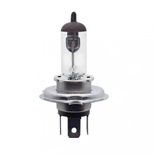 H4 Clear Halogen Bulb - 60/55W - Bild 1 von 1