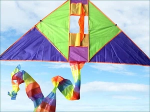 55" Triangle Kite Outdoor Toy Sport Flying Line Game Fun K26 - Picture 1 of 1