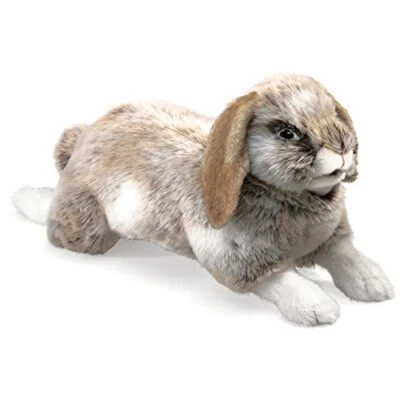 Marioneta de mano Folkmanis Holland Lop Rabbit Foto 1 de 4