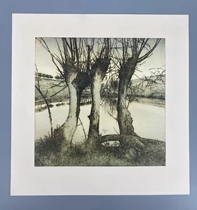 * KUNSTDRUCK WALTER HERZOG DREI SCHWESTERN 1985 HANDSIGNIERT BÄUME LANDSCHAFT - Bild 1 von 15