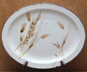 Midwinter Stonehenge Wild Oats 12" Oval Platter - Picture 1 of 3