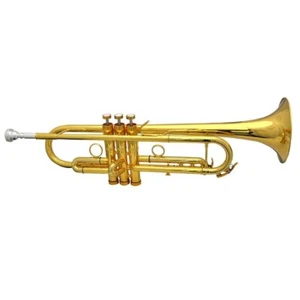 Schiller Elite Frankfurt Custom Classic Gold - Picture 1 of 6