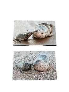 Aluminum Prints "A Mother's Kiss"  "A Mother's Touch" Paul Brewer Photography - Picture 1 of 19