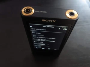 Sony Walkman NW-ZX300 DAP 64 GB - Imagen 1 de 18