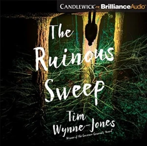The Ruinous Sweep by Tim Wynne-Jones: Audiobook CD - Picture 1 of 1