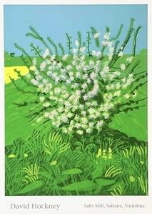 DAVID HOCKNEY ‘Arrival Of Spring’ Authorised Limited Poster - Picture 1 of 1