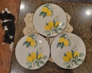 Platos de cena Royal Norfolk flor de limón 10,5", juego de 3 - Imagen 1 de 2