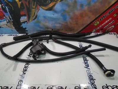 Yamaha Waverunner 2019 líneas y caja VX Deluxe 2017-2019 Foto 1 de 4