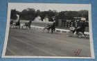 Vintage Harness Racing Press Photo Horse "Tar Hal" Unknown Racetrack & Driver