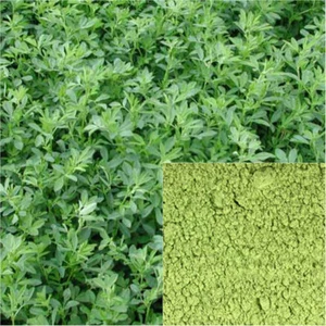 Alfalfa powder, organic, soap making supplies, herbal extracts. - Picture 1 of 16