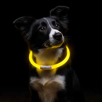 PURLOV Leuchthalsband Hund Aufladbar | LED | USB-C | zuschneidbar | wasserdicht