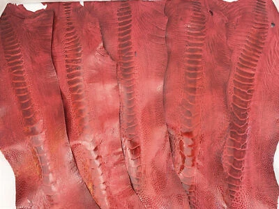 5 patas de avestruz piel cuero rojo escarlata GL grado B en un paquete Foto 1 de 3