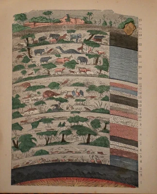 Mapa geográfico físico original del mundo de 1856 por Morse & Gaston (6x7)-#51 Foto 1 de 3